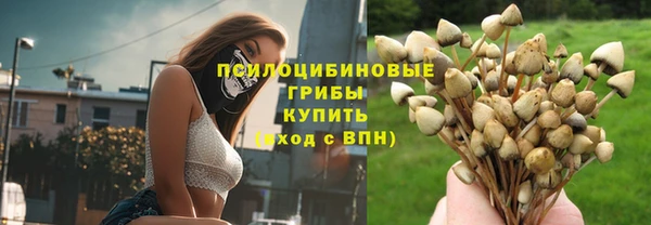 шишки Алексин