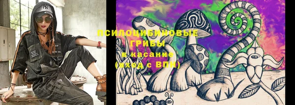 шишки Алексин