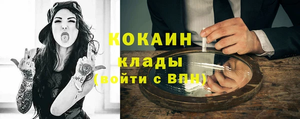 шишки Алексин
