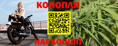 мяу мяу мука Малгобек