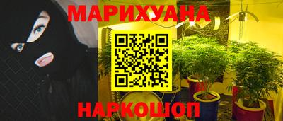 мяу мяу мука Малгобек