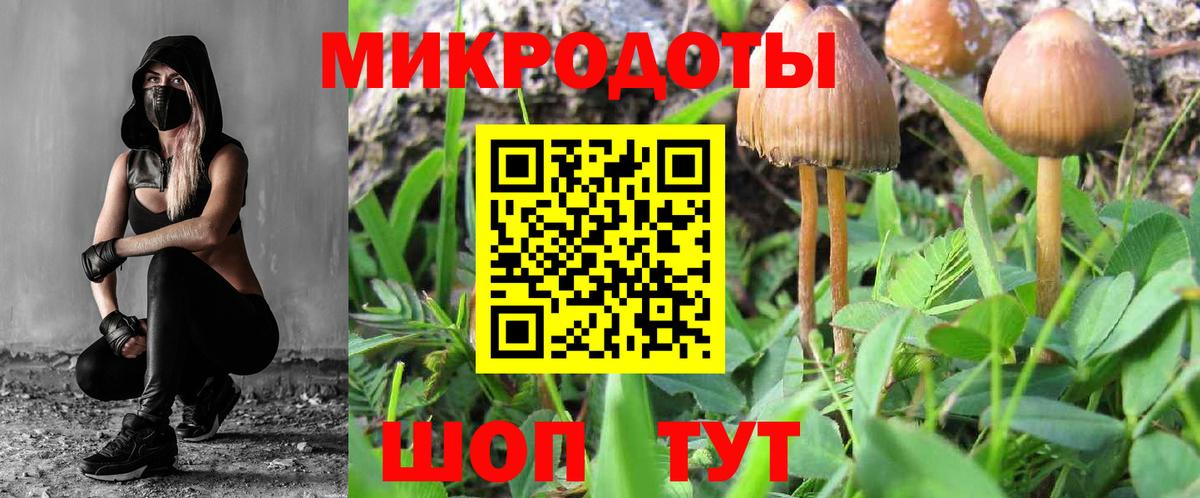 Псилоцибиновые грибы Cubensis Гуково